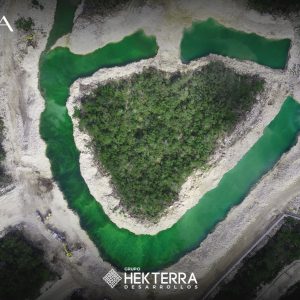 Imagen de WhatsApp 2025-01-07 a las 13.34.56_b4bf28b0