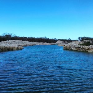 Imagen de WhatsApp 2025-02-06 a las 15.10.41_006ea83c